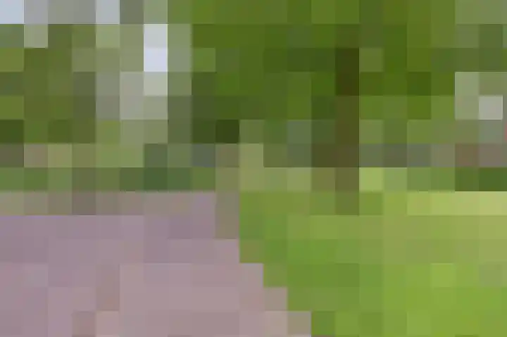 Aidalaan 25 Nieuwegein thumbnail 43
