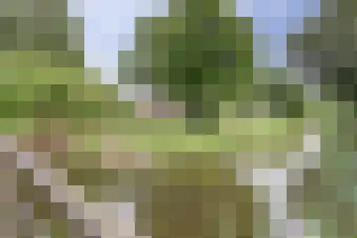 Aidalaan 25 Nieuwegein thumbnail 44