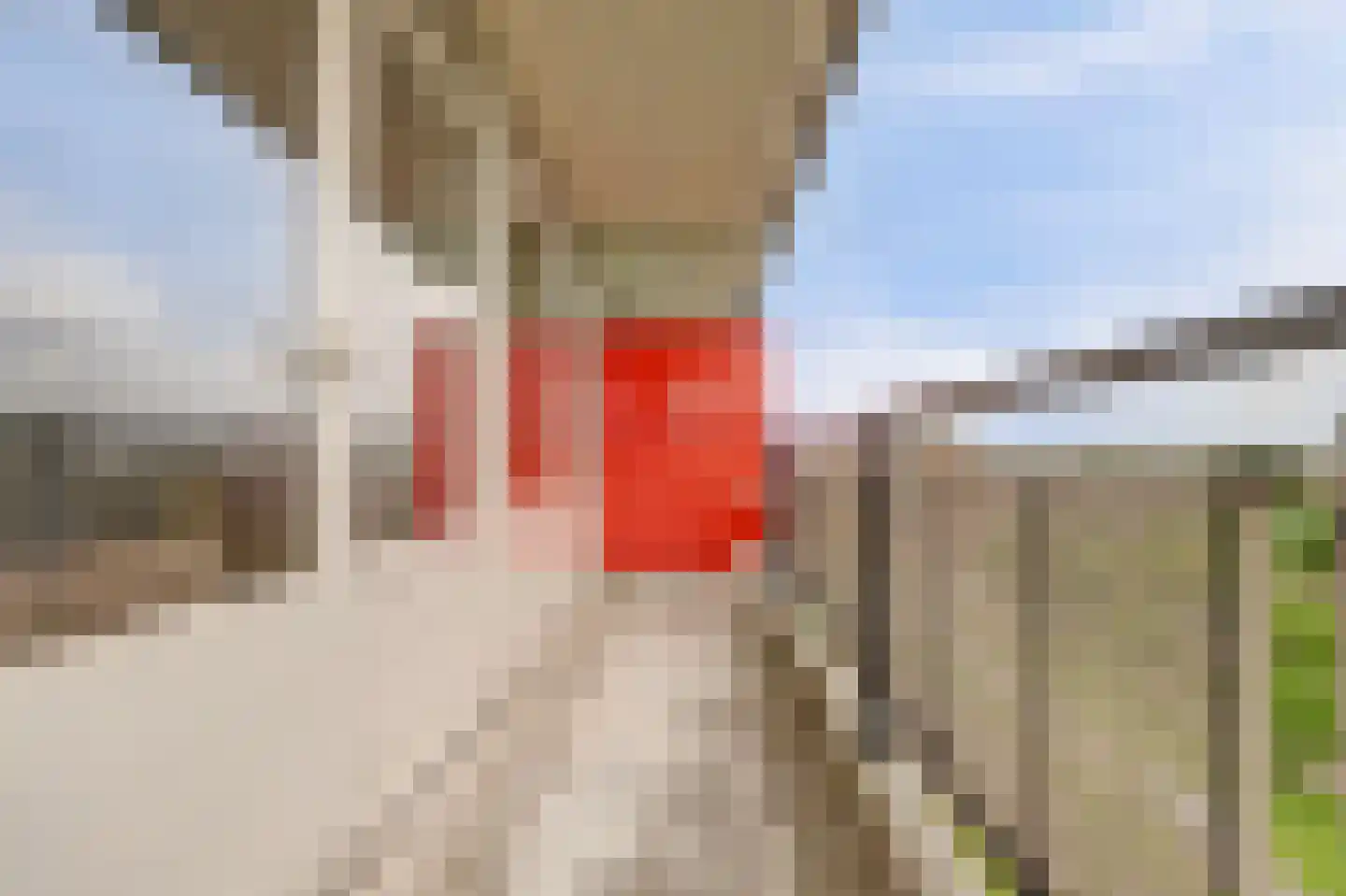 Aïdaplein 217 Alphen aan den Rijn thumbnail 14