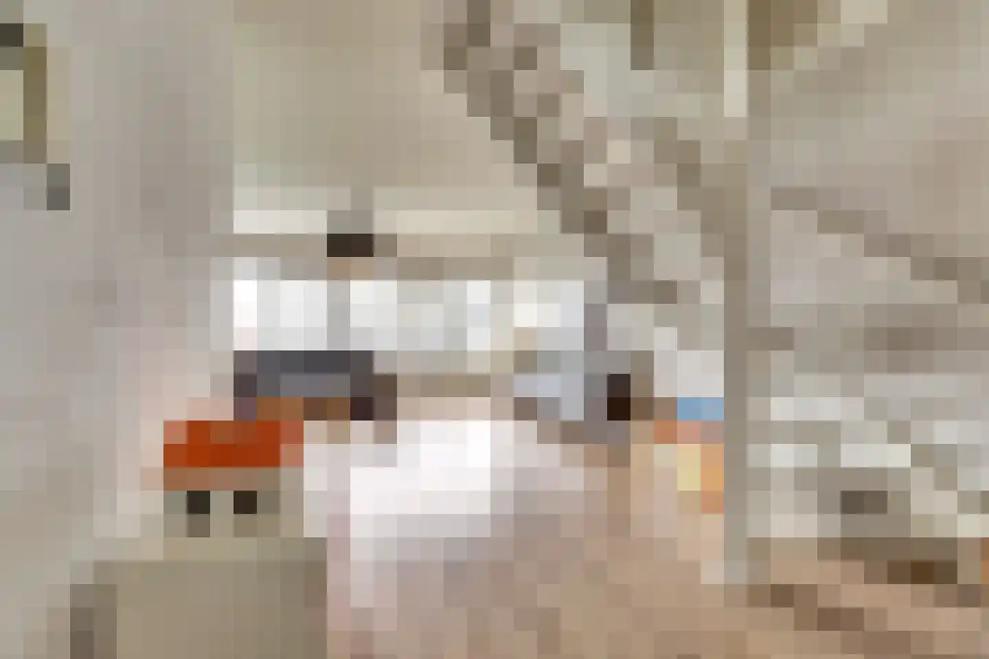 Aïdaplein 217 Alphen aan den Rijn thumbnail 19