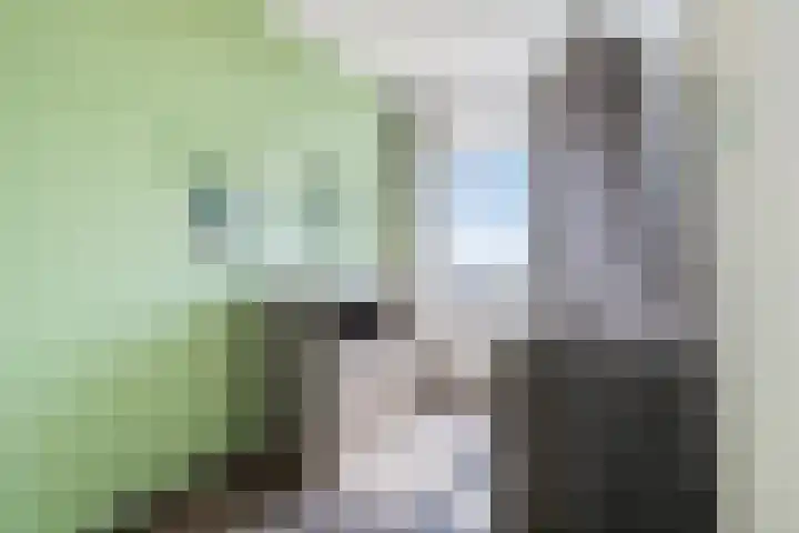 Aïdaplein 261 Alphen aan den Rijn thumbnail 16