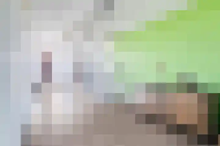Aïdaplein 261 Alphen aan den Rijn thumbnail 19