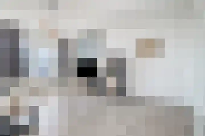 Aïdaplein 261 Alphen aan den Rijn thumbnail 22