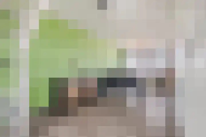 Aïdaplein 261 Alphen aan den Rijn thumbnail 26