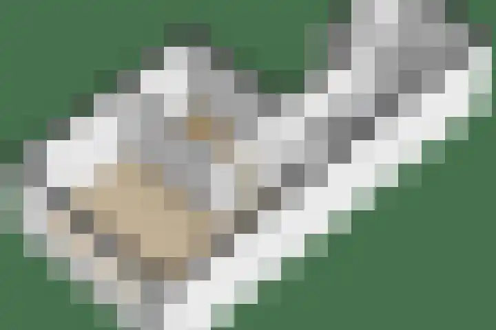 Aïdaplein 28 Alphen aan den Rijn thumbnail 21