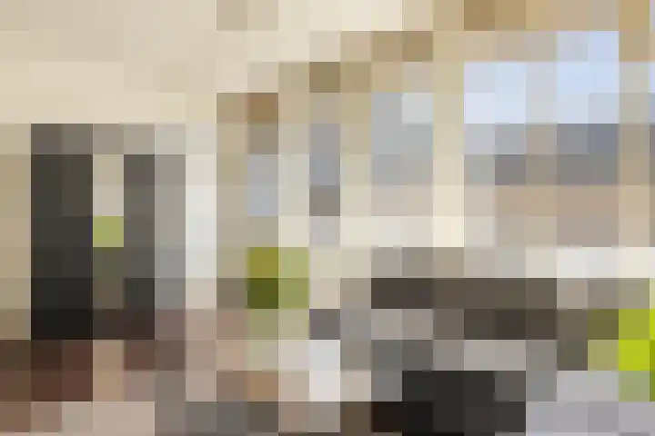 Aïdaplein 28 Alphen aan den Rijn thumbnail 4