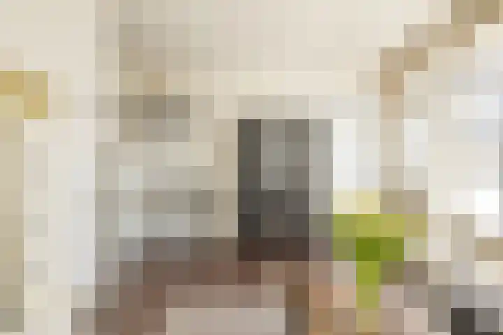 Aïdaplein 28 Alphen aan den Rijn thumbnail 5