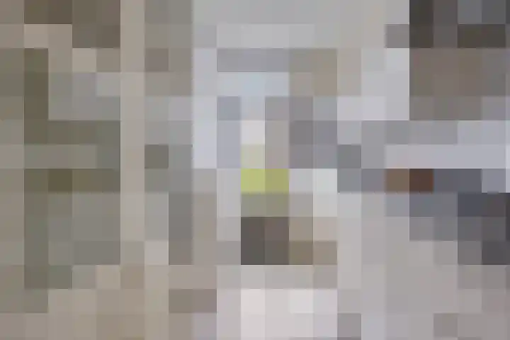 Aïdaplein 77 Alphen aan den Rijn thumbnail 10