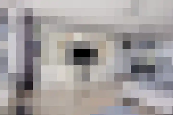 Aïdaplein 77 Alphen aan den Rijn thumbnail 5