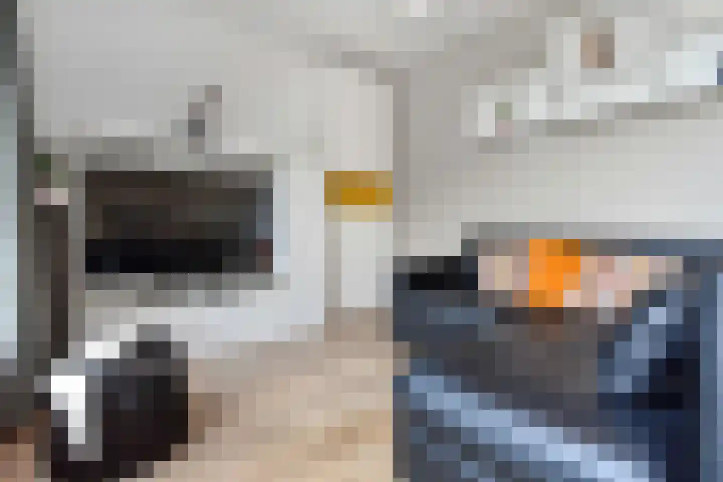 Aïdaschouw 36 Zoetermeer thumbnail 10