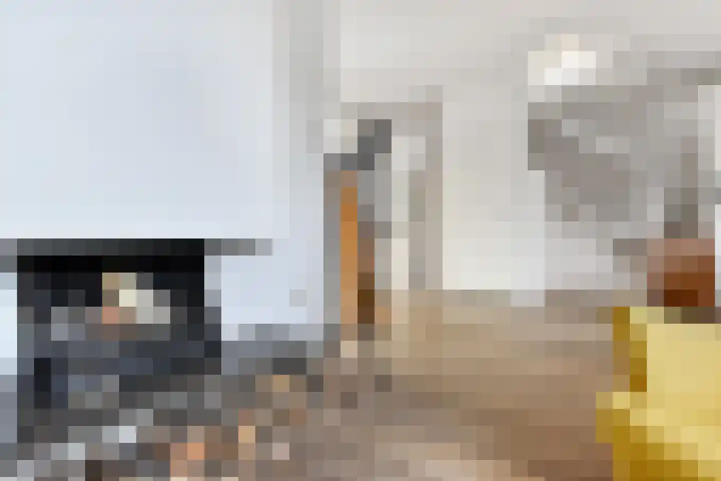 Aïdaschouw 36 Zoetermeer thumbnail 14