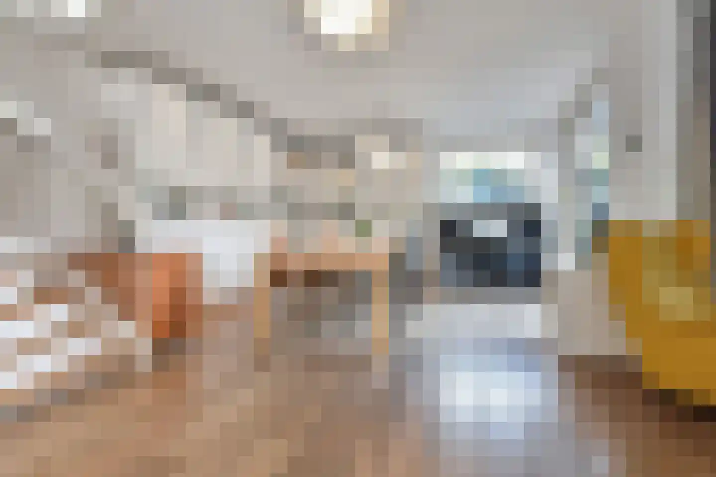 Aïdaschouw 36 Zoetermeer thumbnail 16