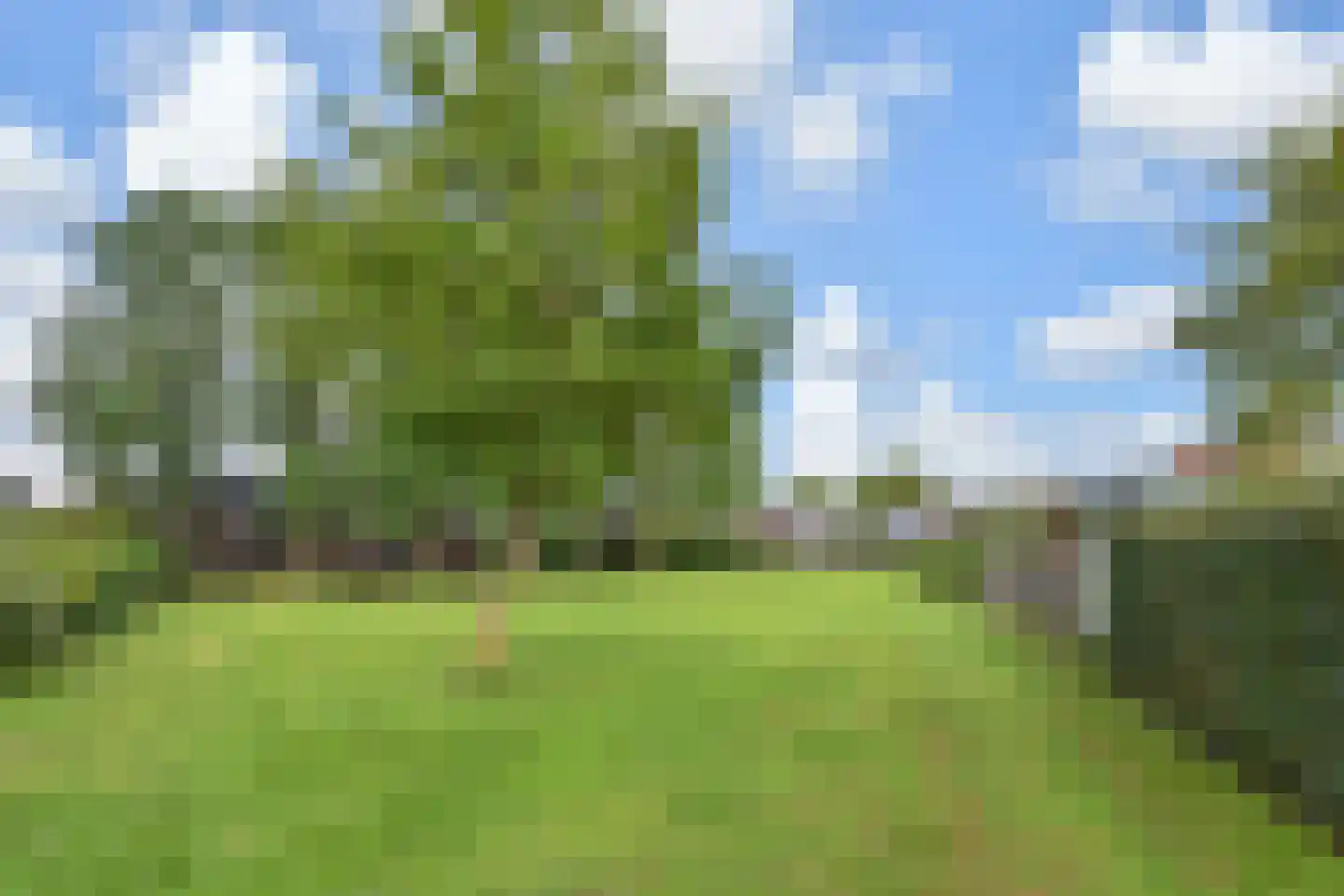 Aïdaschouw 36 Zoetermeer thumbnail 27