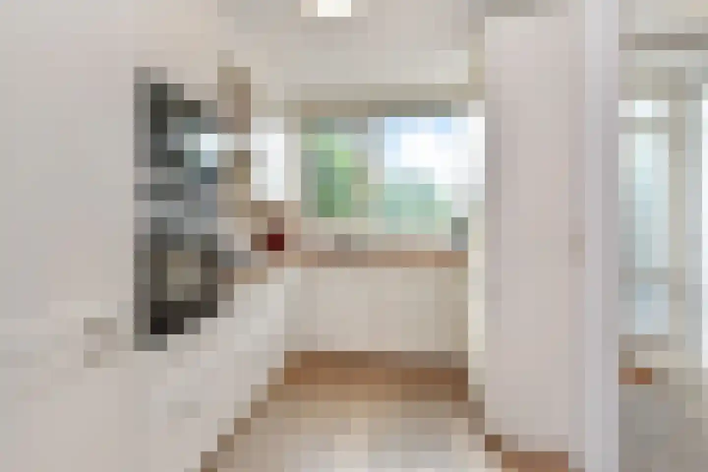 Aïdaschouw 36 Zoetermeer thumbnail 29