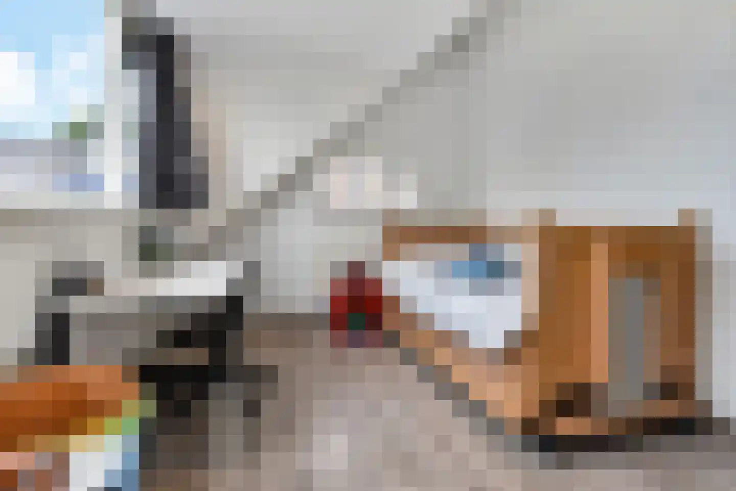 Aïdaschouw 36 Zoetermeer thumbnail 32
