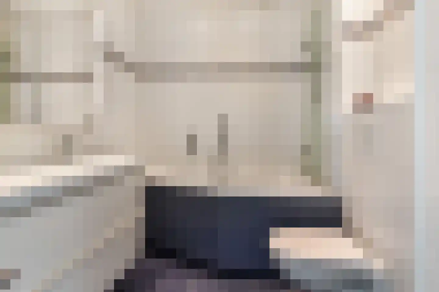 Aïdaschouw 36 Zoetermeer thumbnail 38