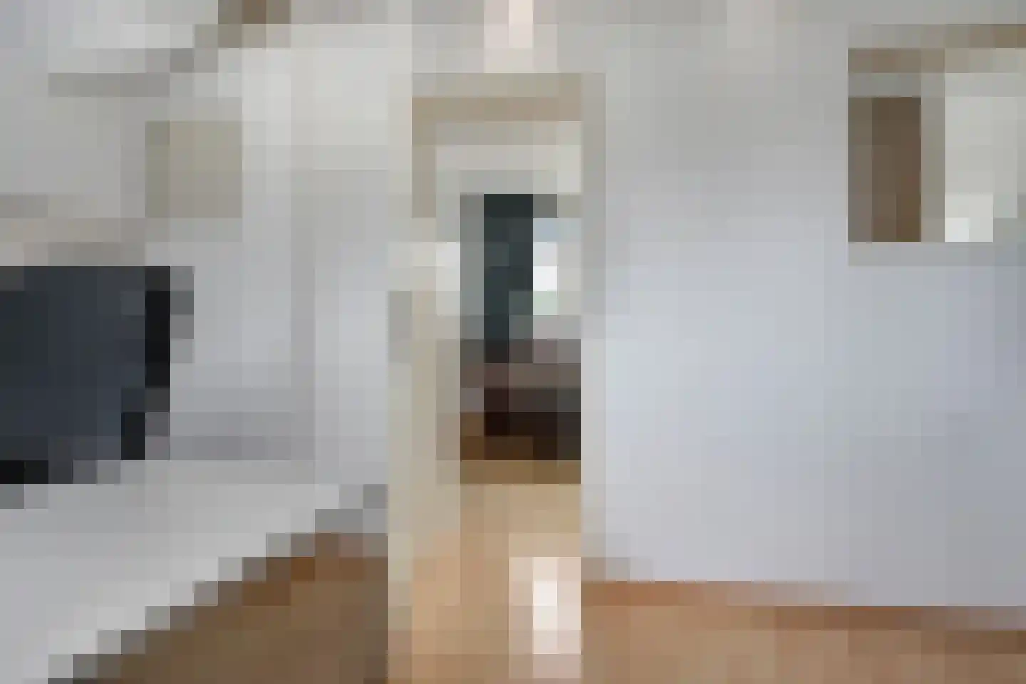 Aïdaschouw 36 Zoetermeer thumbnail 44