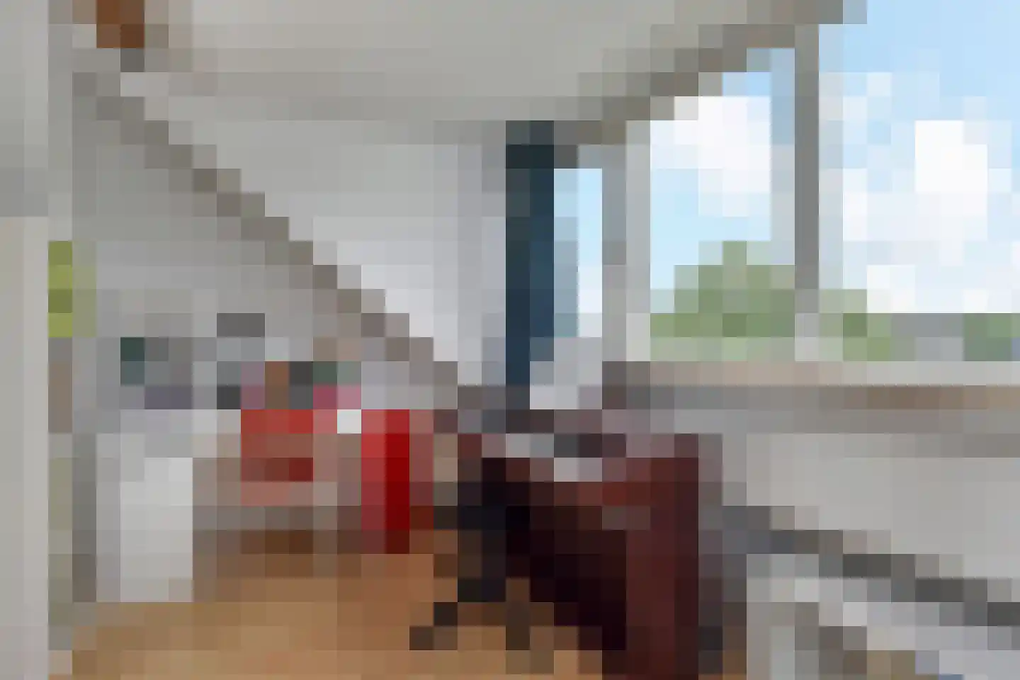 Aïdaschouw 36 Zoetermeer thumbnail 48