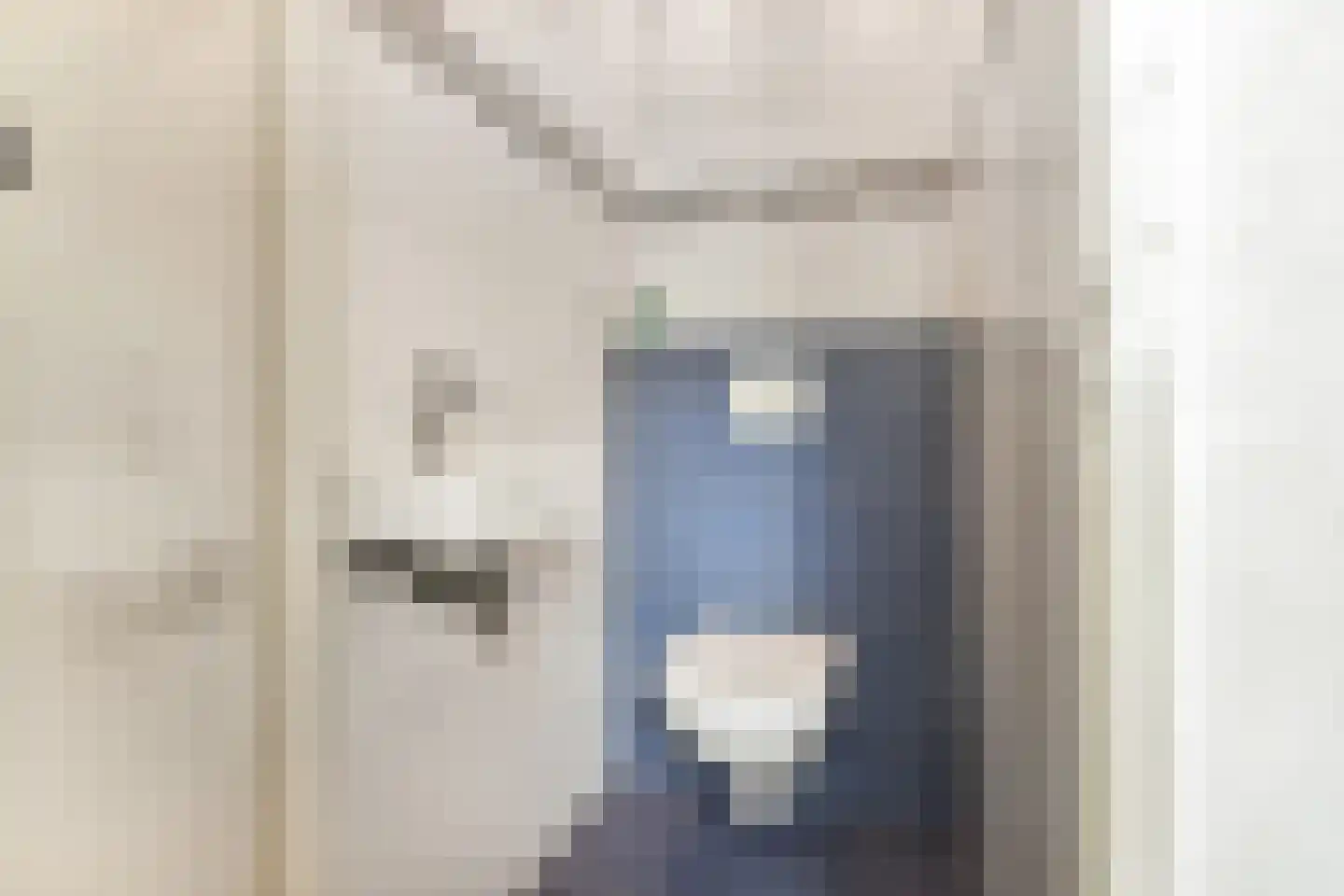 Aïdaschouw 36 Zoetermeer thumbnail 8