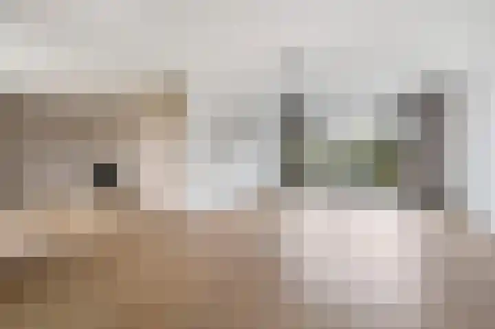 Aïdaschouw 38 Zoetermeer thumbnail 10