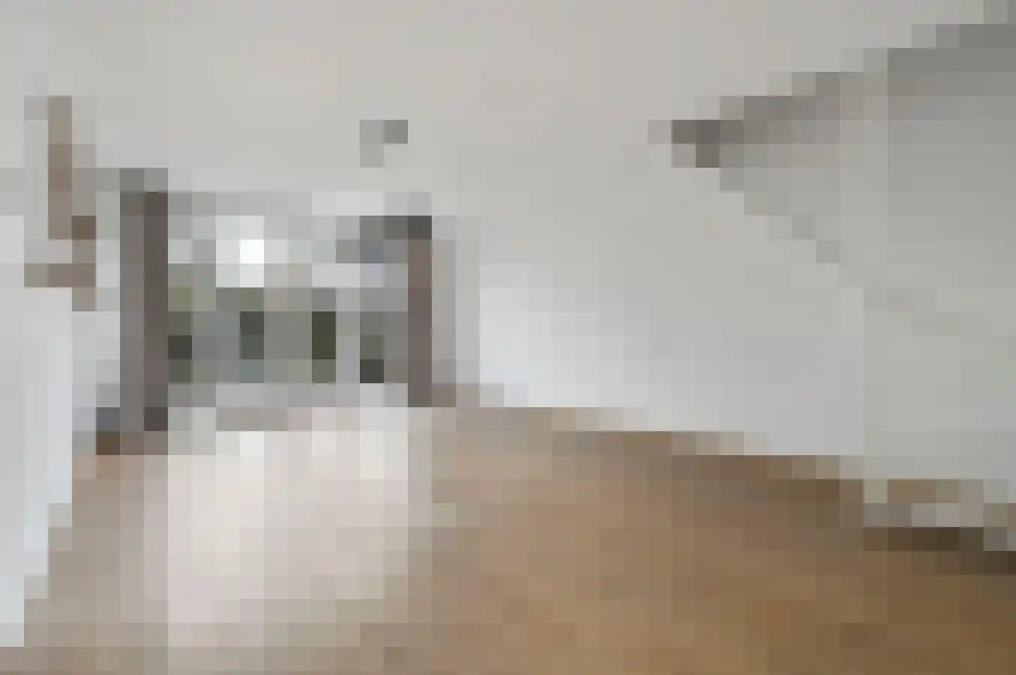Aïdaschouw 38 Zoetermeer thumbnail 11