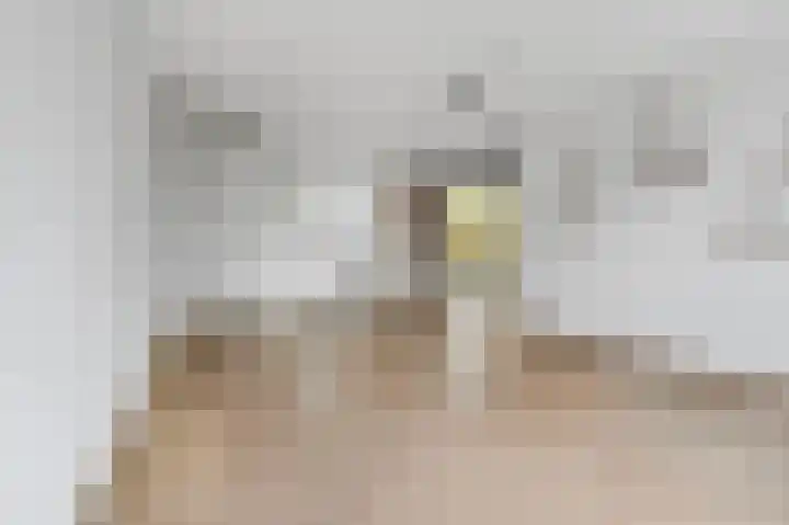 Aïdaschouw 38 Zoetermeer thumbnail 12