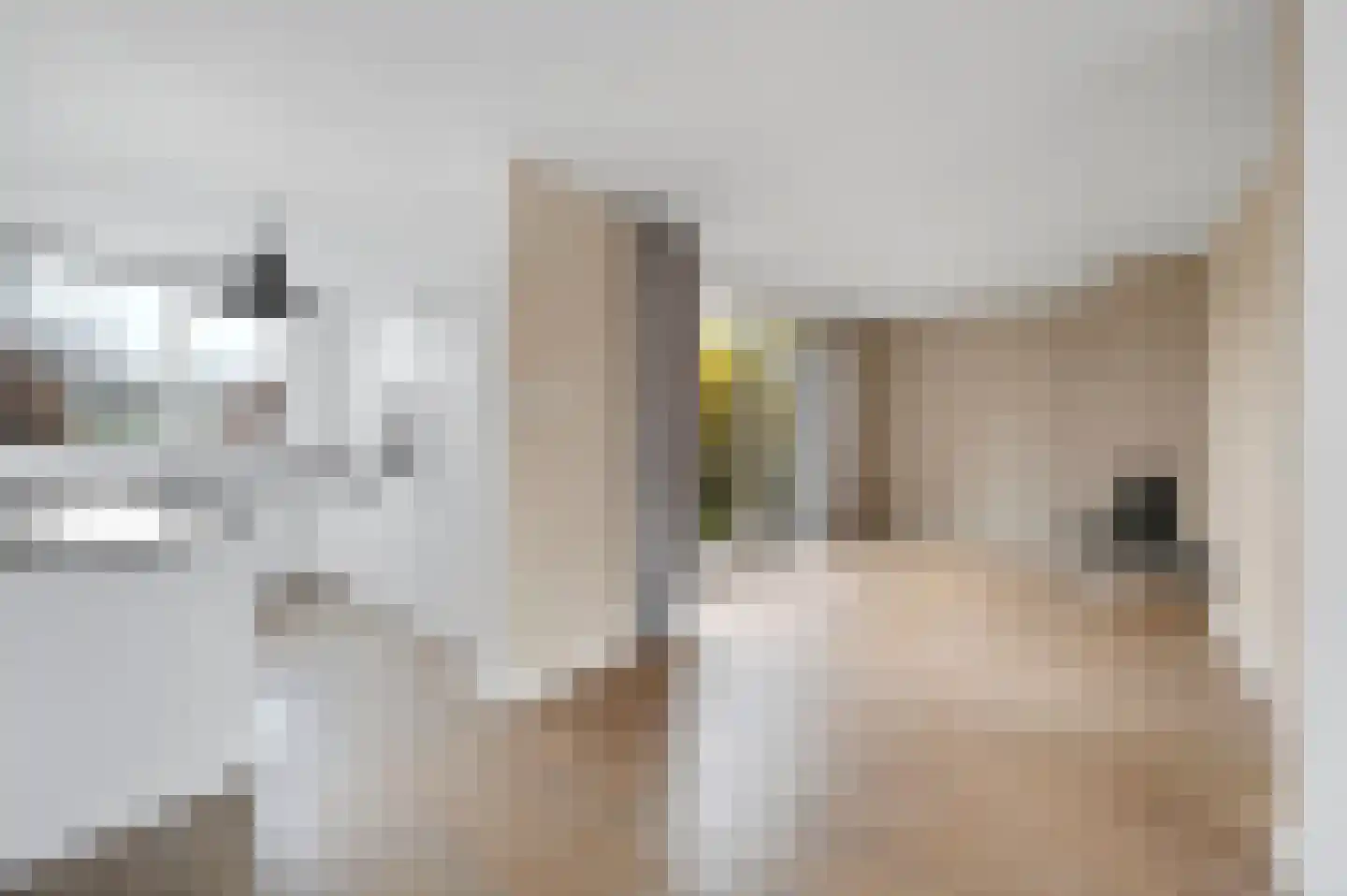 Aïdaschouw 38 Zoetermeer thumbnail 14
