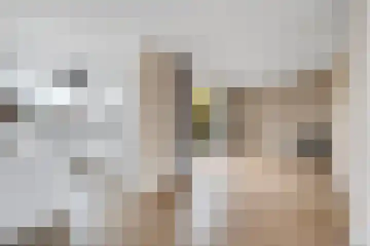 Aïdaschouw 38 Zoetermeer thumbnail 14