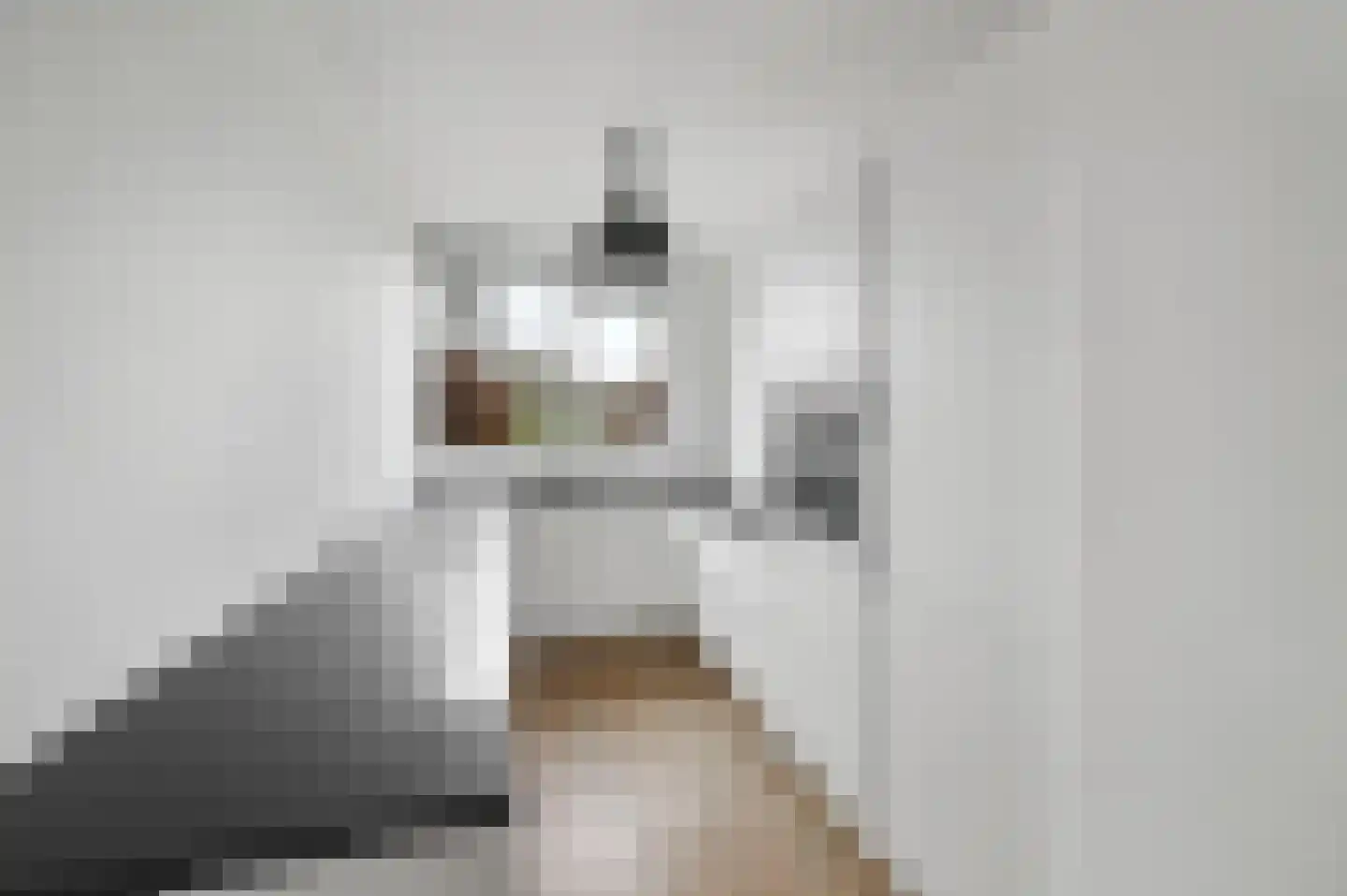 Aïdaschouw 38 Zoetermeer thumbnail 15