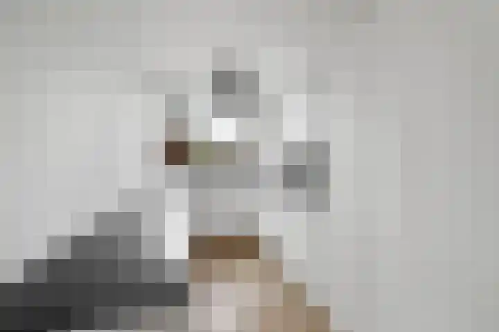Aïdaschouw 38 Zoetermeer thumbnail 15