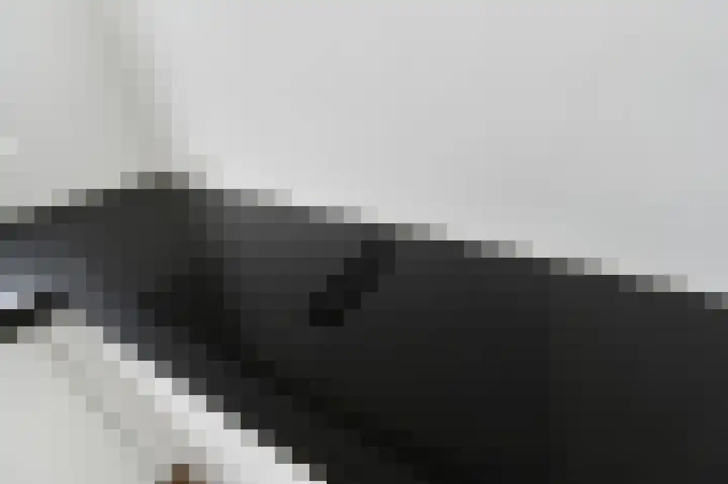 Aïdaschouw 38 Zoetermeer thumbnail 17