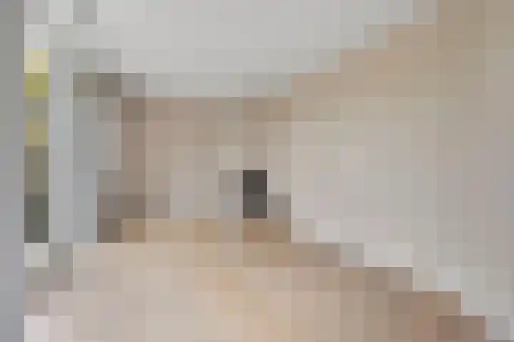 Aïdaschouw 38 Zoetermeer thumbnail 18