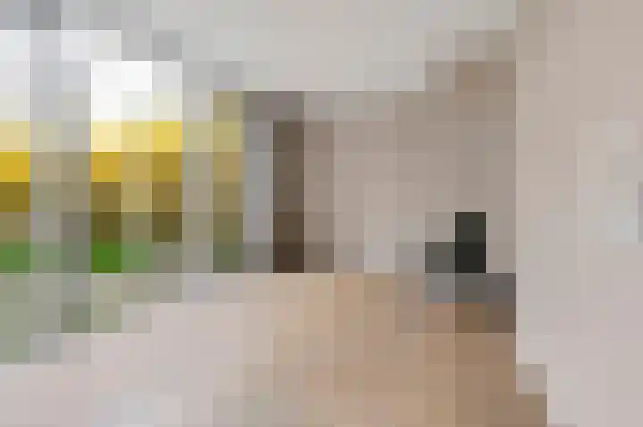 Aïdaschouw 38 Zoetermeer thumbnail 19