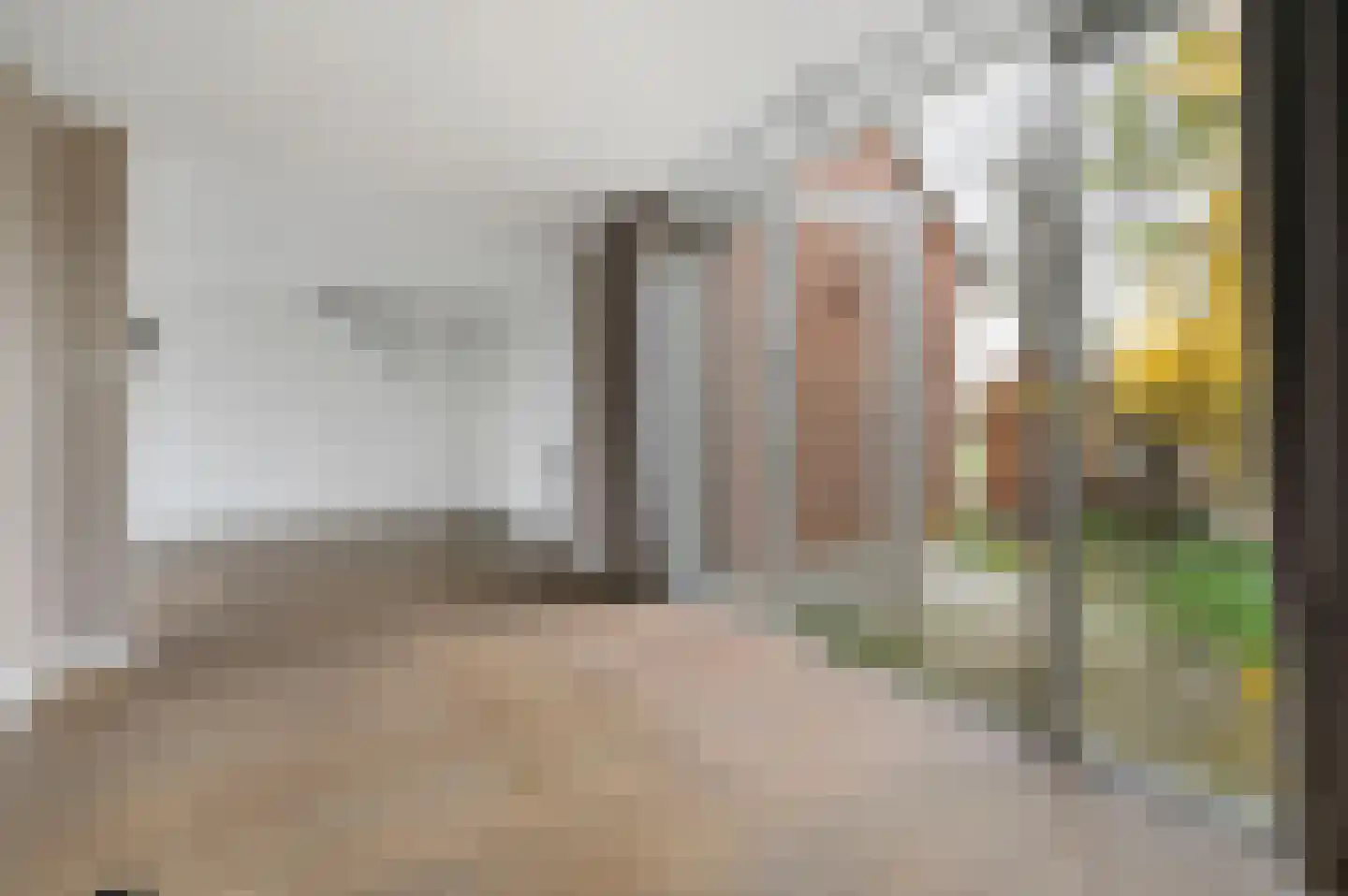 Aïdaschouw 38 Zoetermeer thumbnail 20