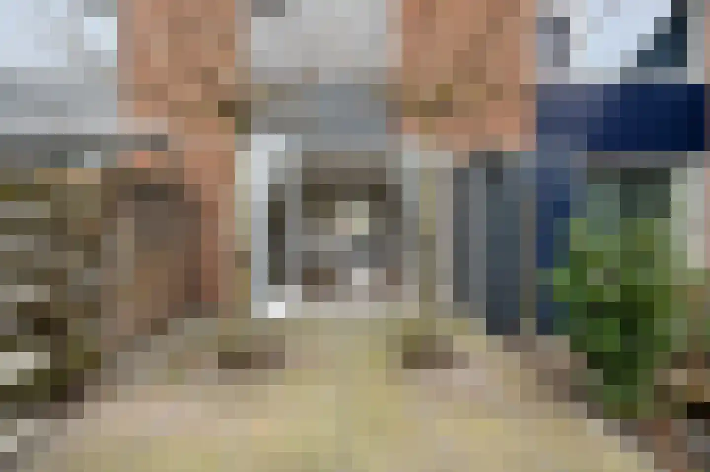 Aïdaschouw 38 Zoetermeer thumbnail 23