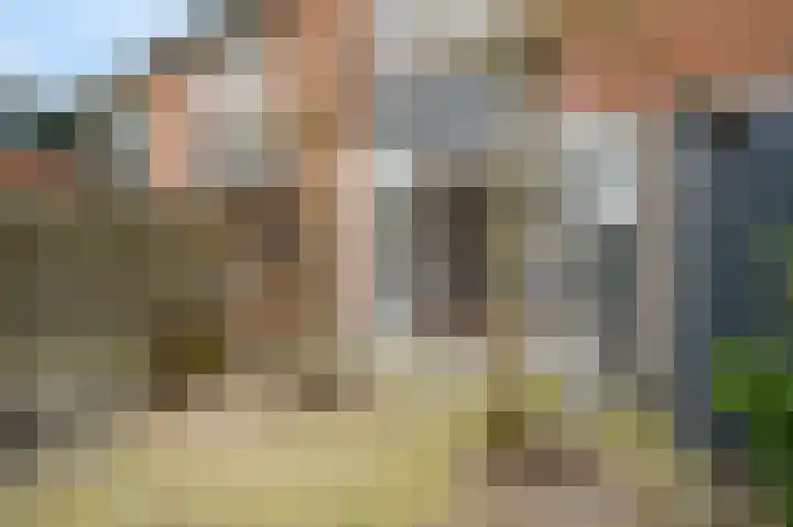 Aïdaschouw 38 Zoetermeer thumbnail 24