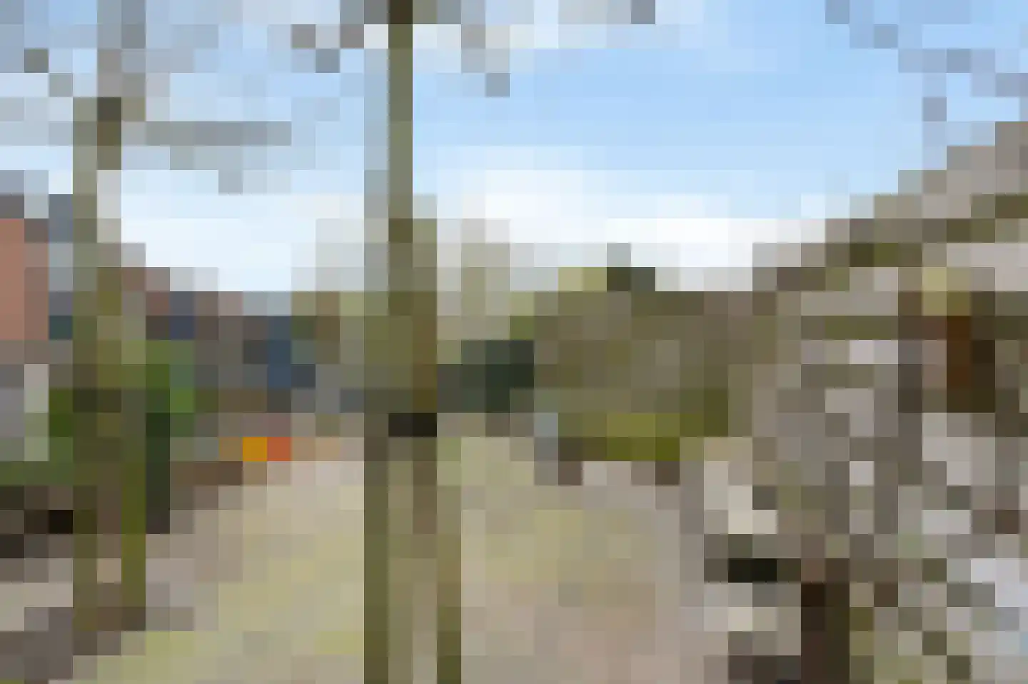 Aïdaschouw 38 Zoetermeer thumbnail 26