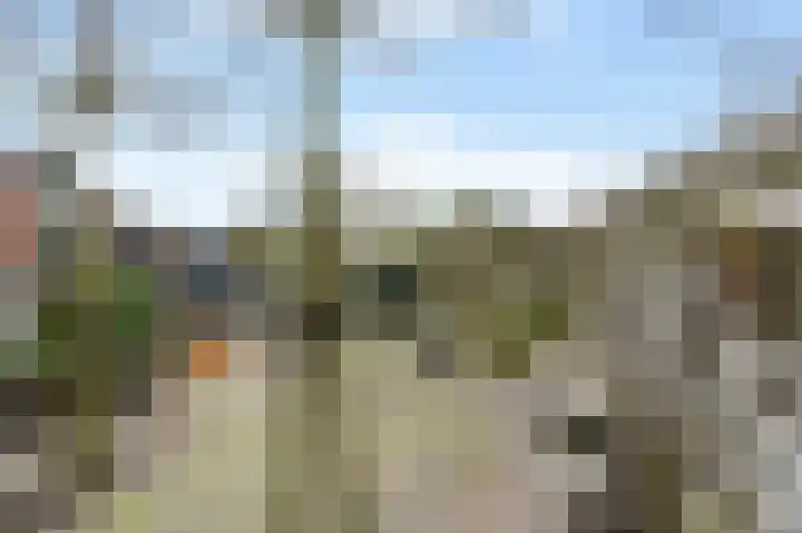 Aïdaschouw 38 Zoetermeer thumbnail 26