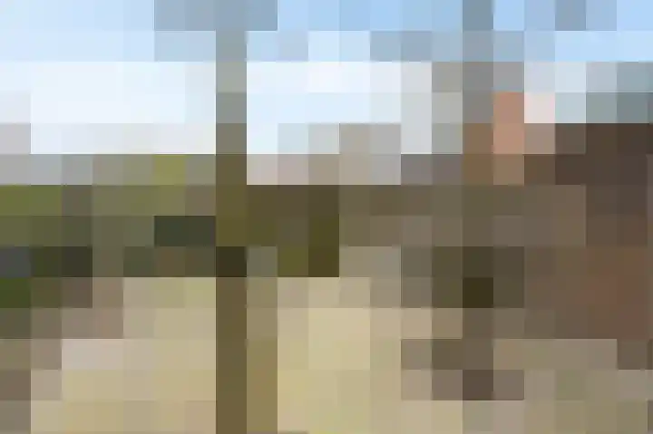 Aïdaschouw 38 Zoetermeer thumbnail 27