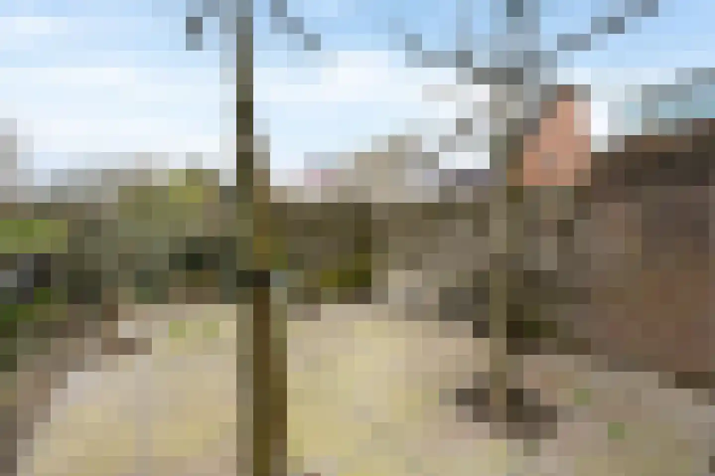 Aïdaschouw 38 Zoetermeer thumbnail 27