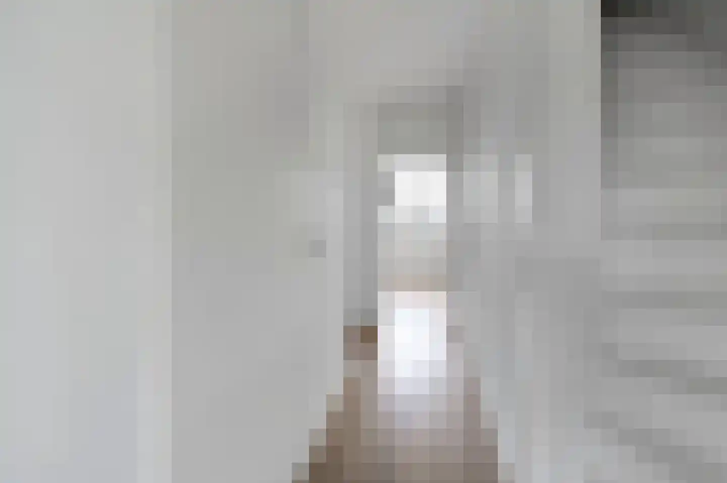 Aïdaschouw 38 Zoetermeer thumbnail 29