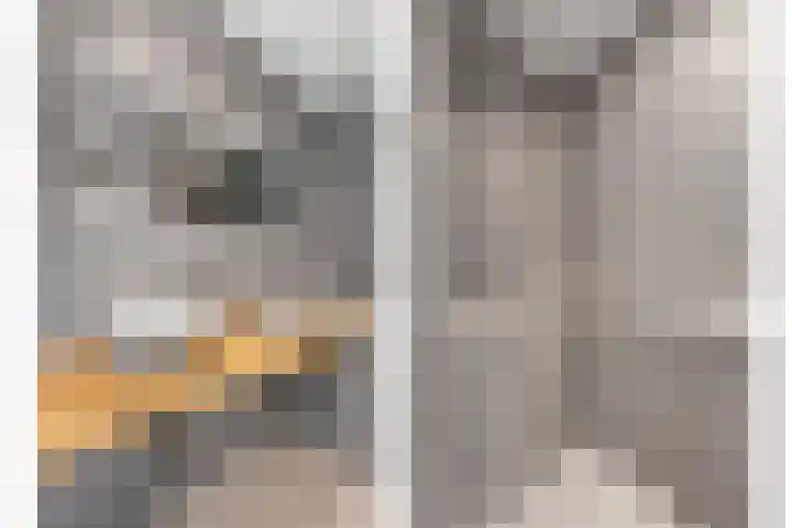Aïdaschouw 38 Zoetermeer thumbnail 31