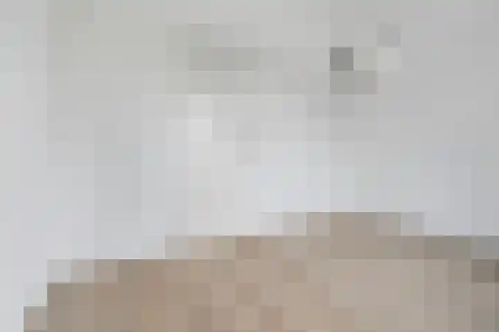 Aïdaschouw 38 Zoetermeer thumbnail 34