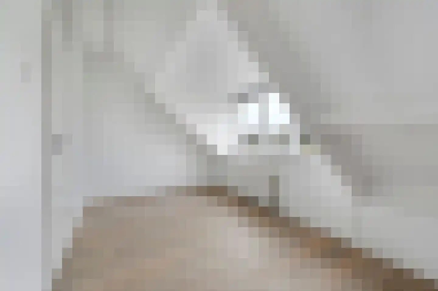 Aïdaschouw 38 Zoetermeer thumbnail 39