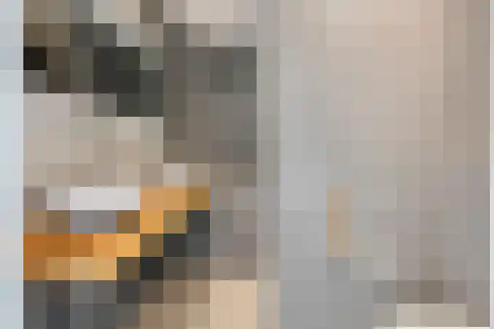 Aïdaschouw 38 Zoetermeer thumbnail 4