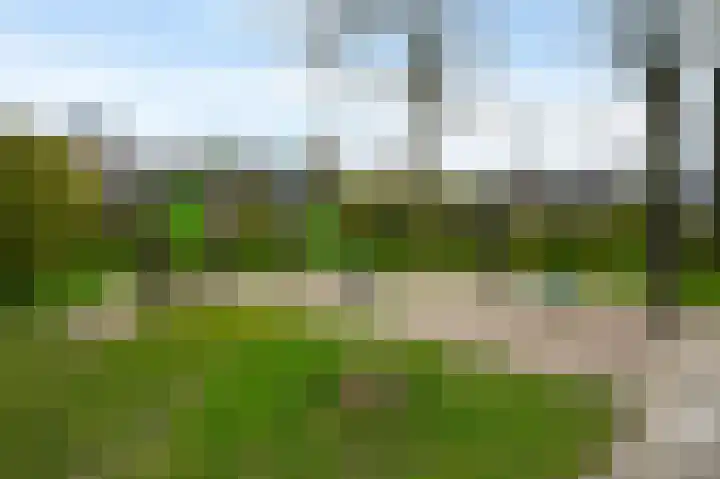 Aïdaschouw 38 Zoetermeer thumbnail 47