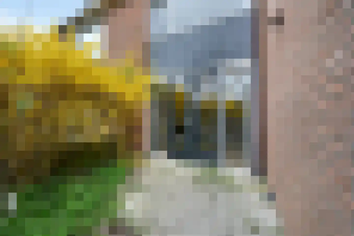 Aïdaschouw 38 Zoetermeer thumbnail 5