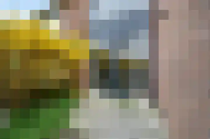 Aïdaschouw 38 Zoetermeer thumbnail 5