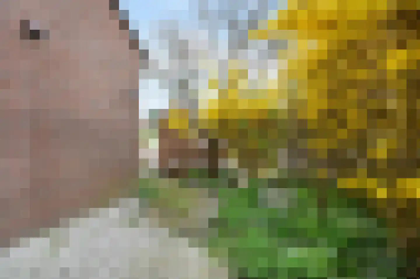 Aïdaschouw 38 Zoetermeer thumbnail 6