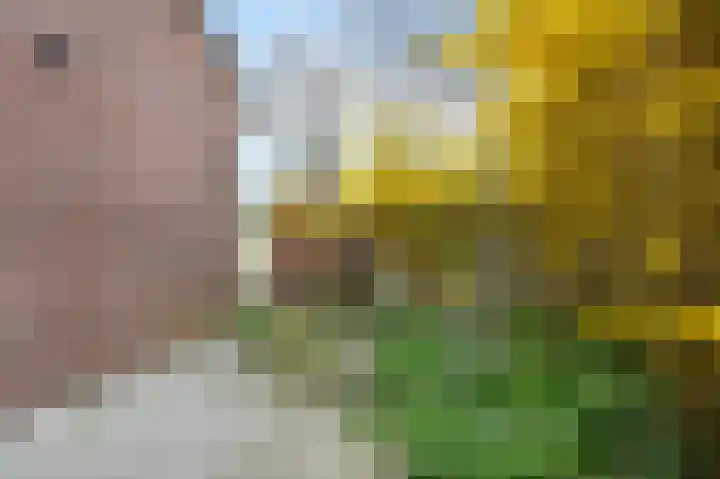 Aïdaschouw 38 Zoetermeer thumbnail 6
